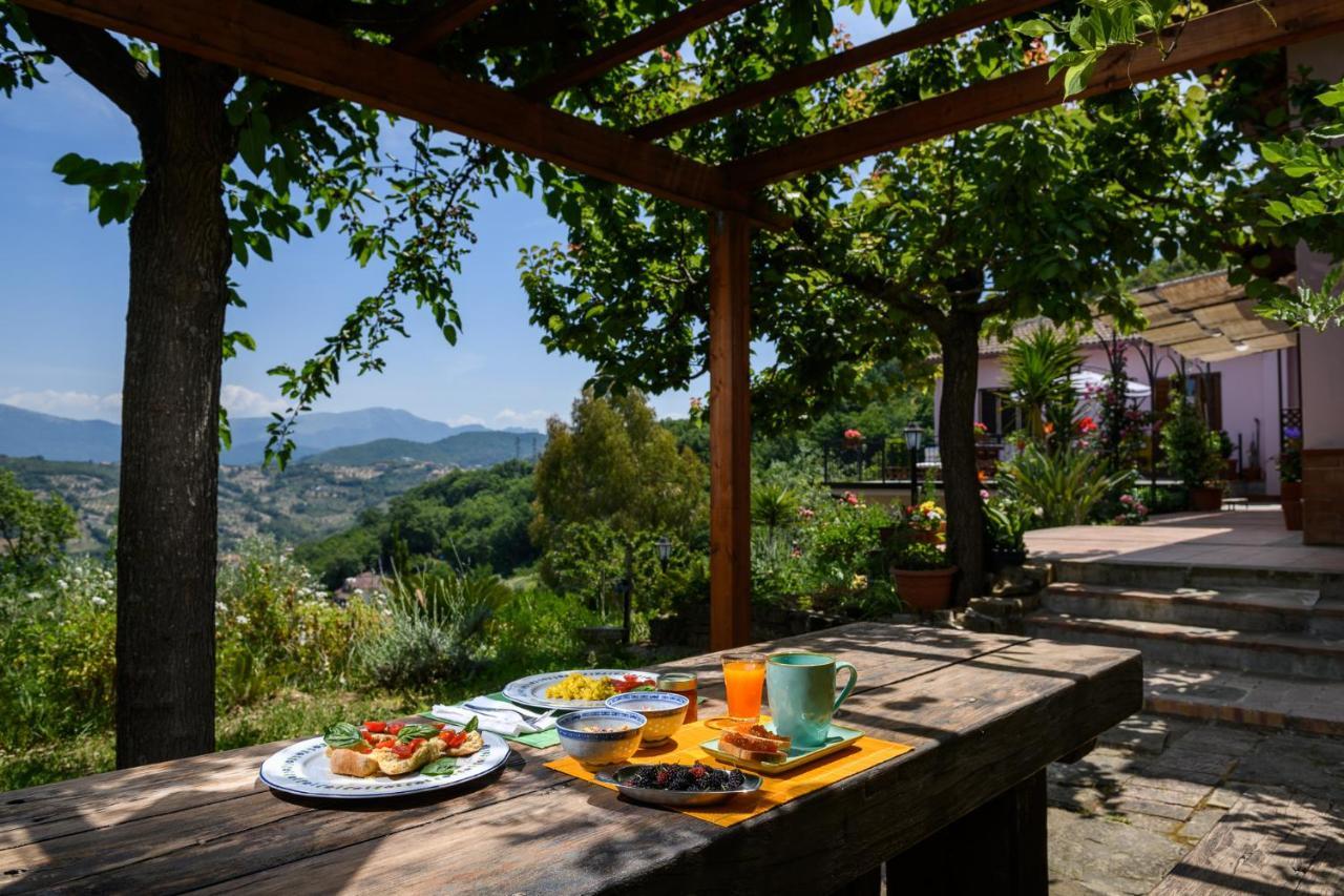 B&B Albachiara Casa Di Campagna Ogliastro Cilento Exterior foto