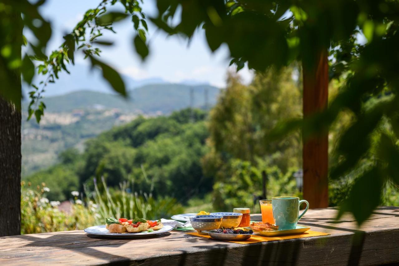 B&B Albachiara Casa Di Campagna Ogliastro Cilento Exterior foto