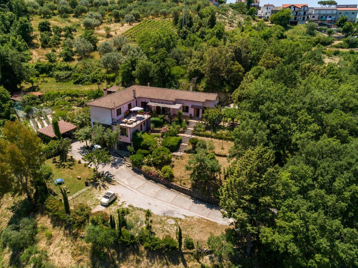 B&B Albachiara Casa Di Campagna Ogliastro Cilento Exterior foto
