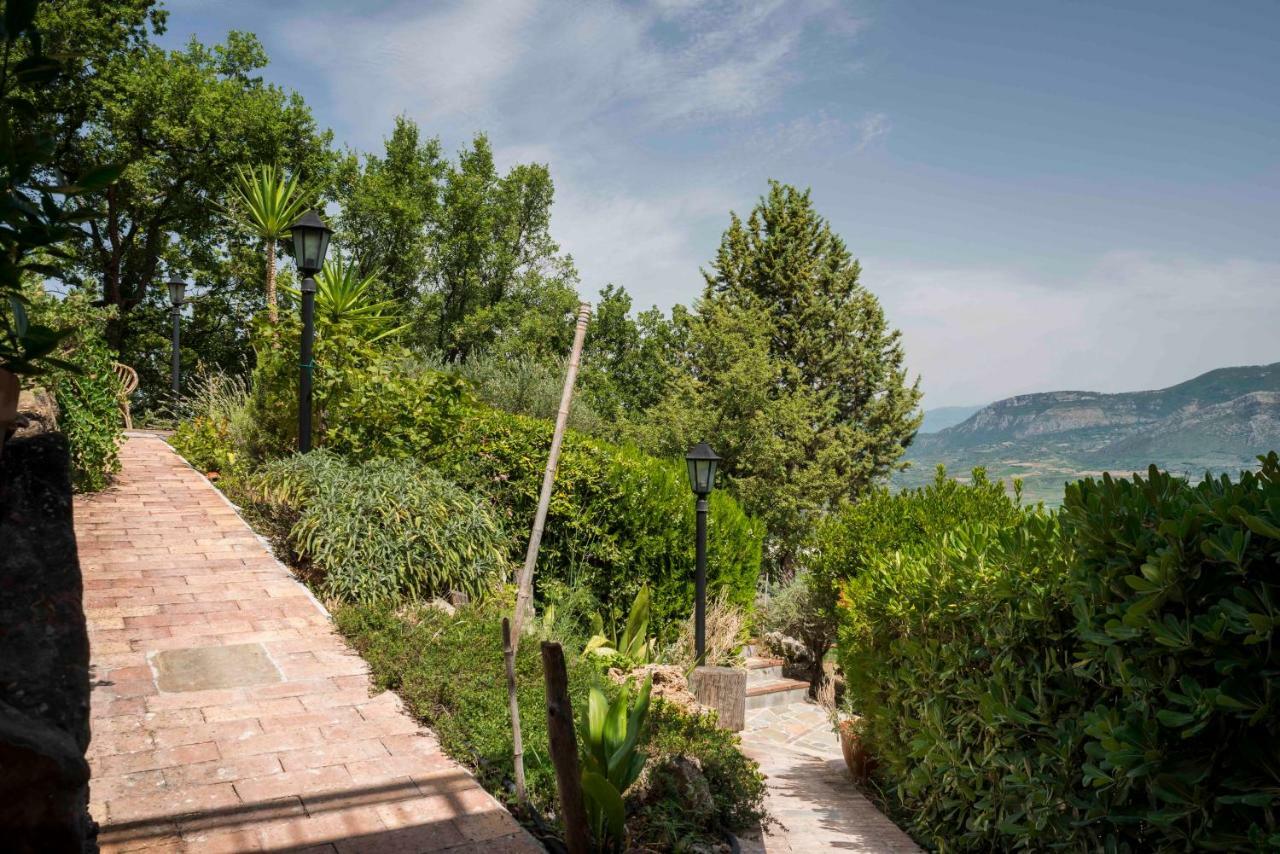 B&B Albachiara Casa Di Campagna Ogliastro Cilento Exterior foto
